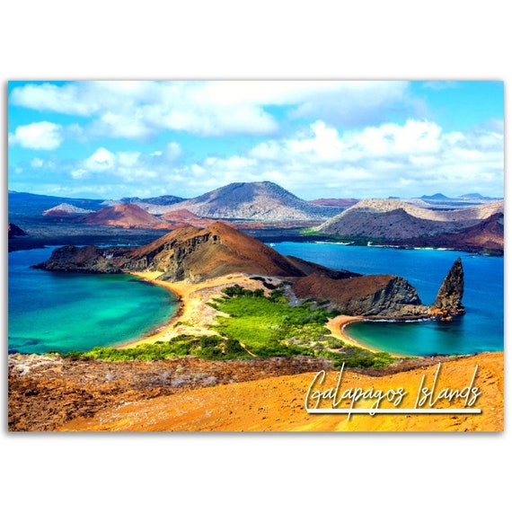 Galapagos Islands Photo Poster Print Ecuador Tropical Wildlife Wall Art