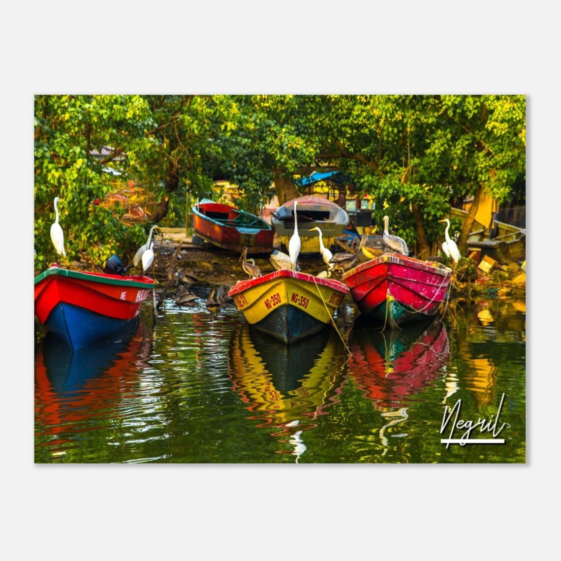 Tropical Negril Jamaica Colorful Fishing Boats Herons Water Poster
