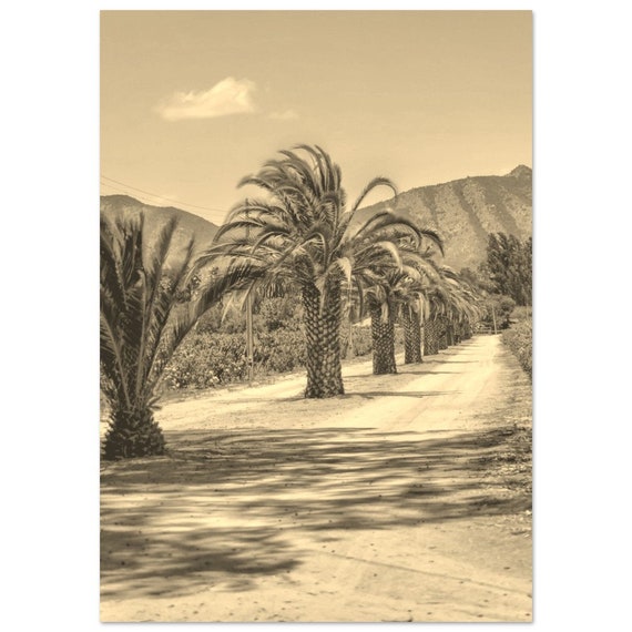 Vintage Valparaiso Chile Poster Sepia Travel Print Wall Art