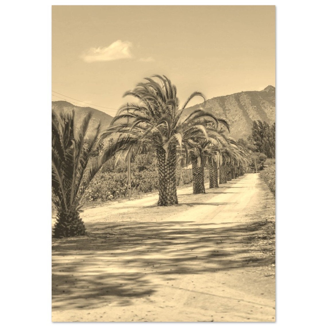 Vintage Valparaiso Chile Poster Sepia Travel Print Wall Art