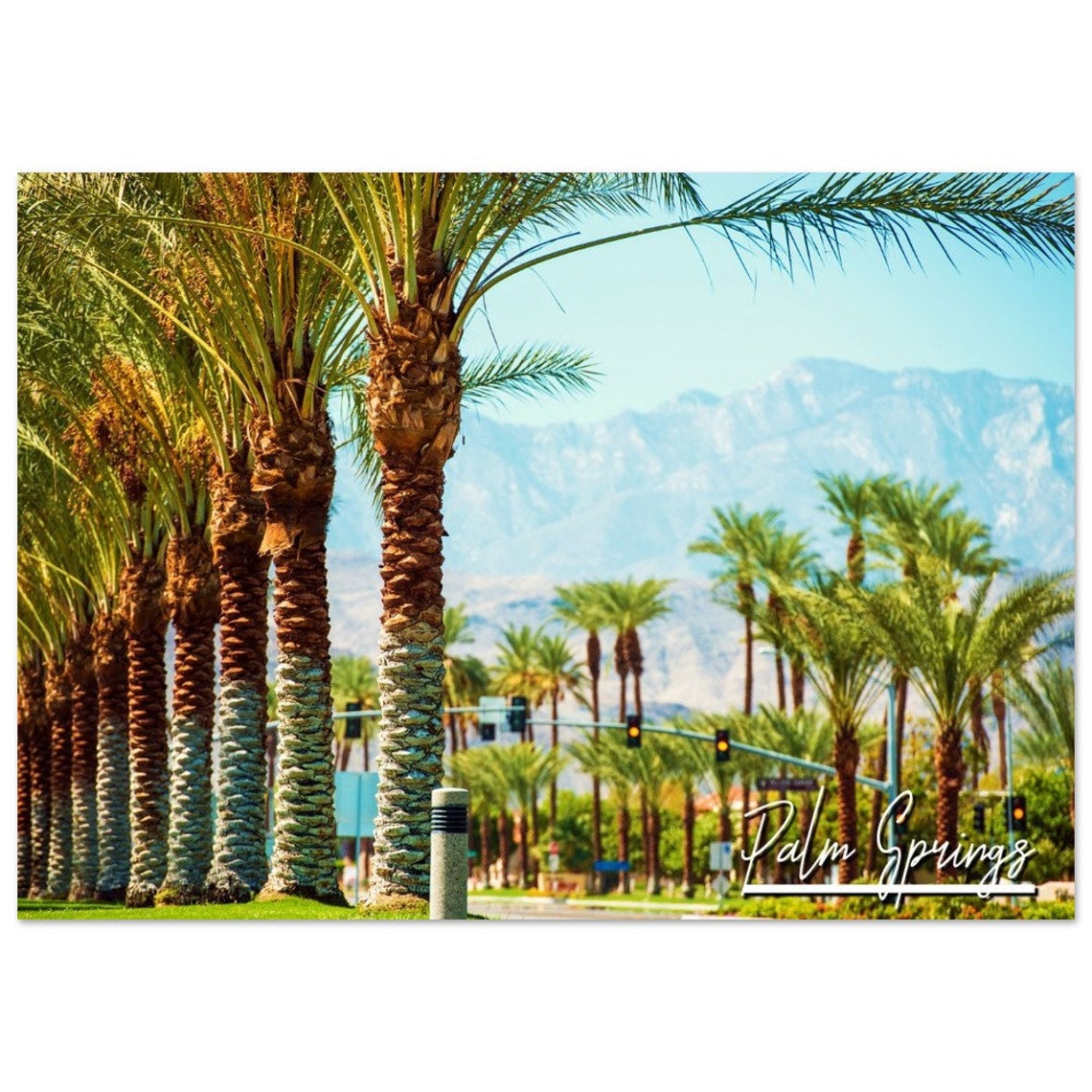 Palm Springs California Travel Poster with Palm Tree Lined Street View