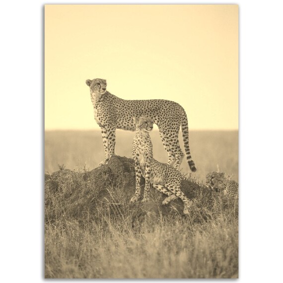 Vintage Cheetah Print Arusha Tanzania Sepia Safari Photo