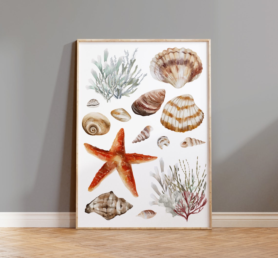 Watercolor Sea Shells Starfish Coral White Coastal Beach Wall Art