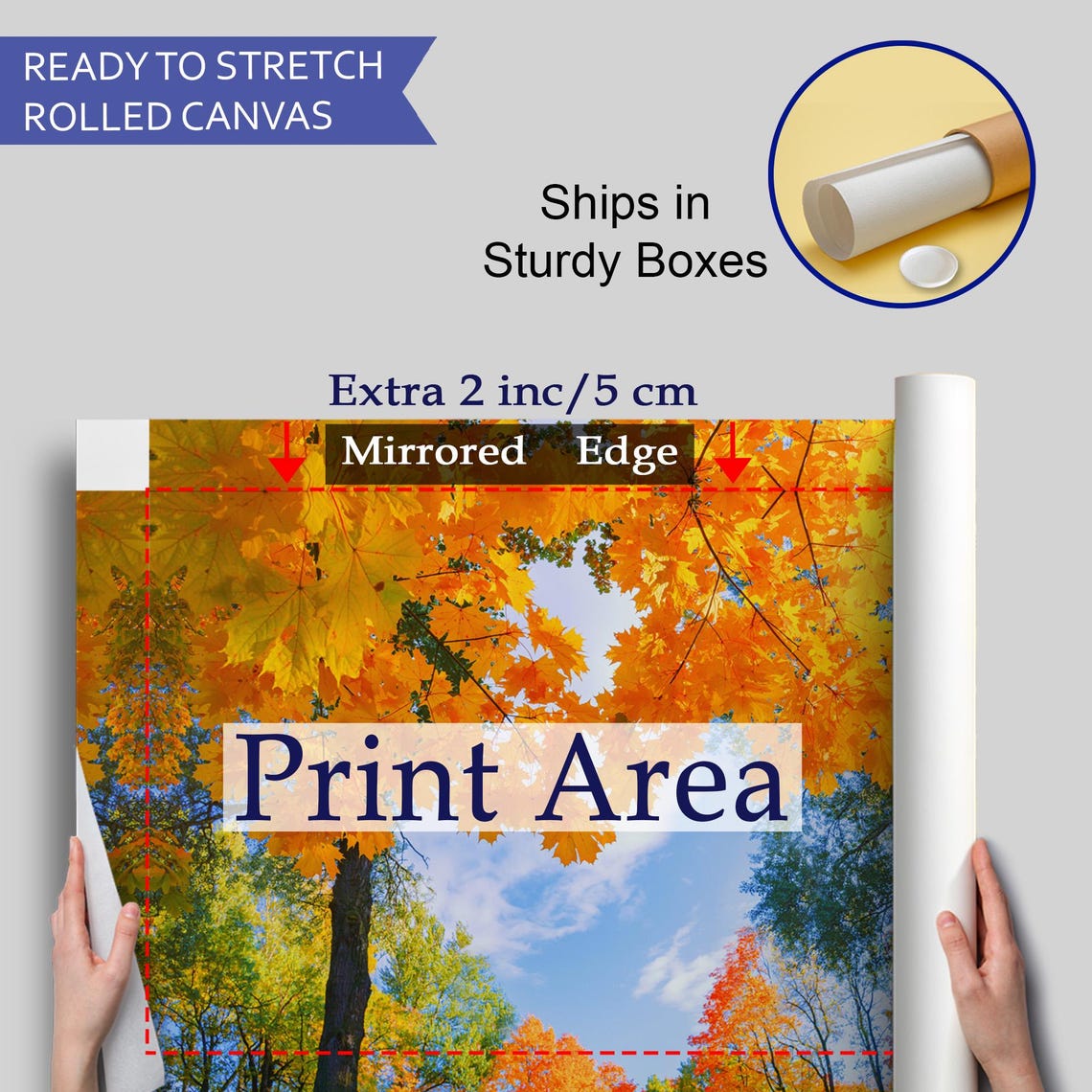 Golden Maple Canopy Autumn Leaves Blue Sky Nature Photography Poster - Image 4