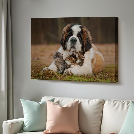 Saint Bernard Dog Cuddling Three Tiny Kittens Adorable Pets Photo Poster