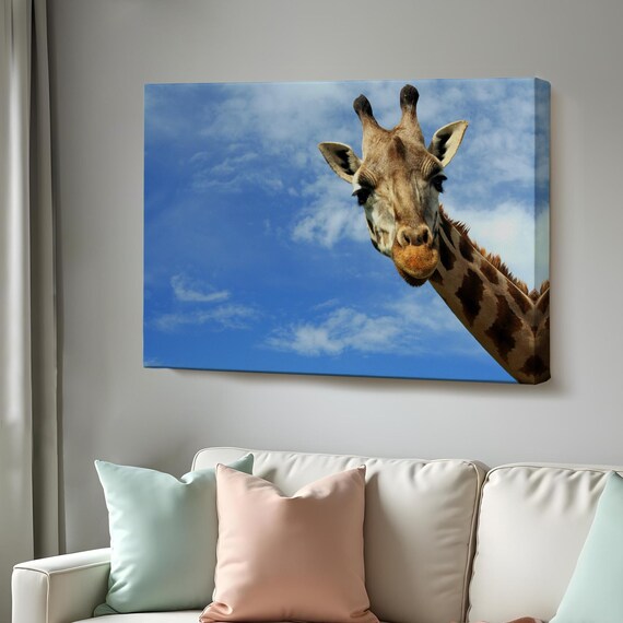 Curious Giraffe Head Peeking Into Frame Blue Sky Safari Photo Poster
