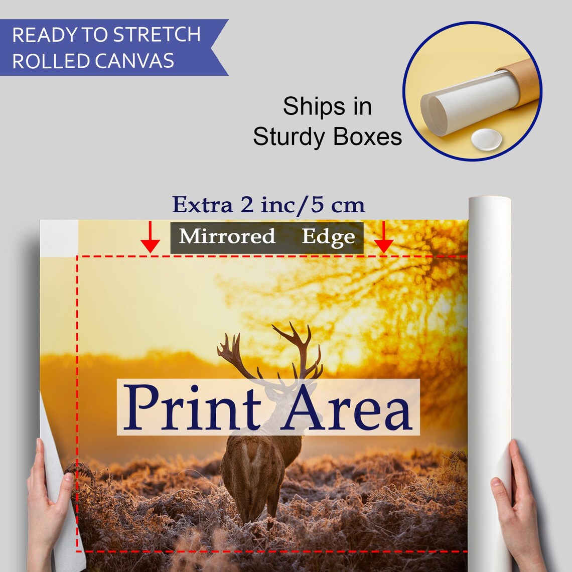 Red Deer Stag With Antlers At Golden Sunrise Frosty Field Photo Poster - Image 4