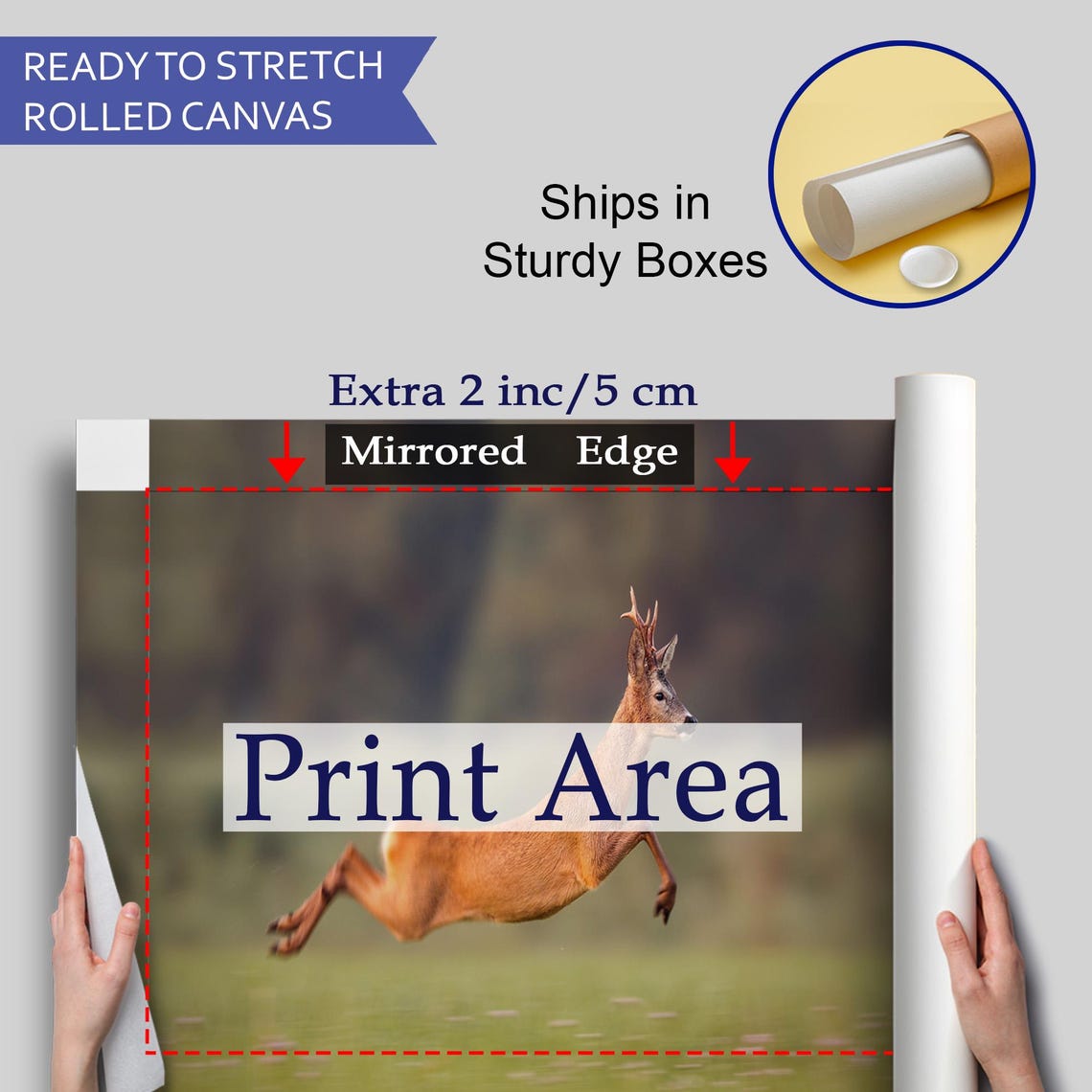 Leaping Roe Deer Buck Wildlife Meadow Action Photography Wall Art - Image 4