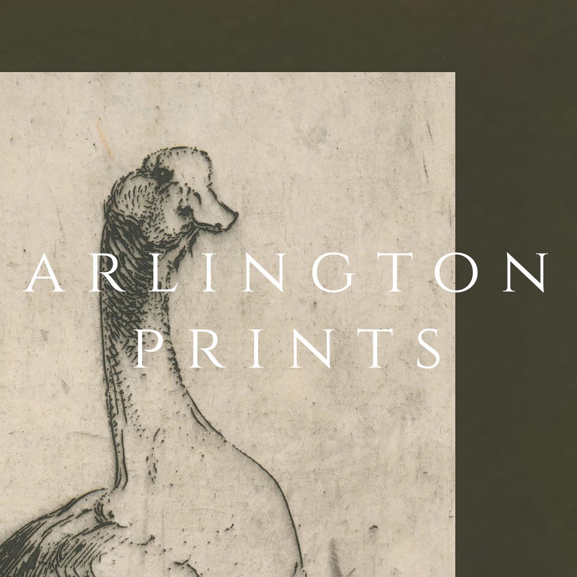 Antique Goose Etching Vintage Black and White Bird Engraving Poster - Image 2