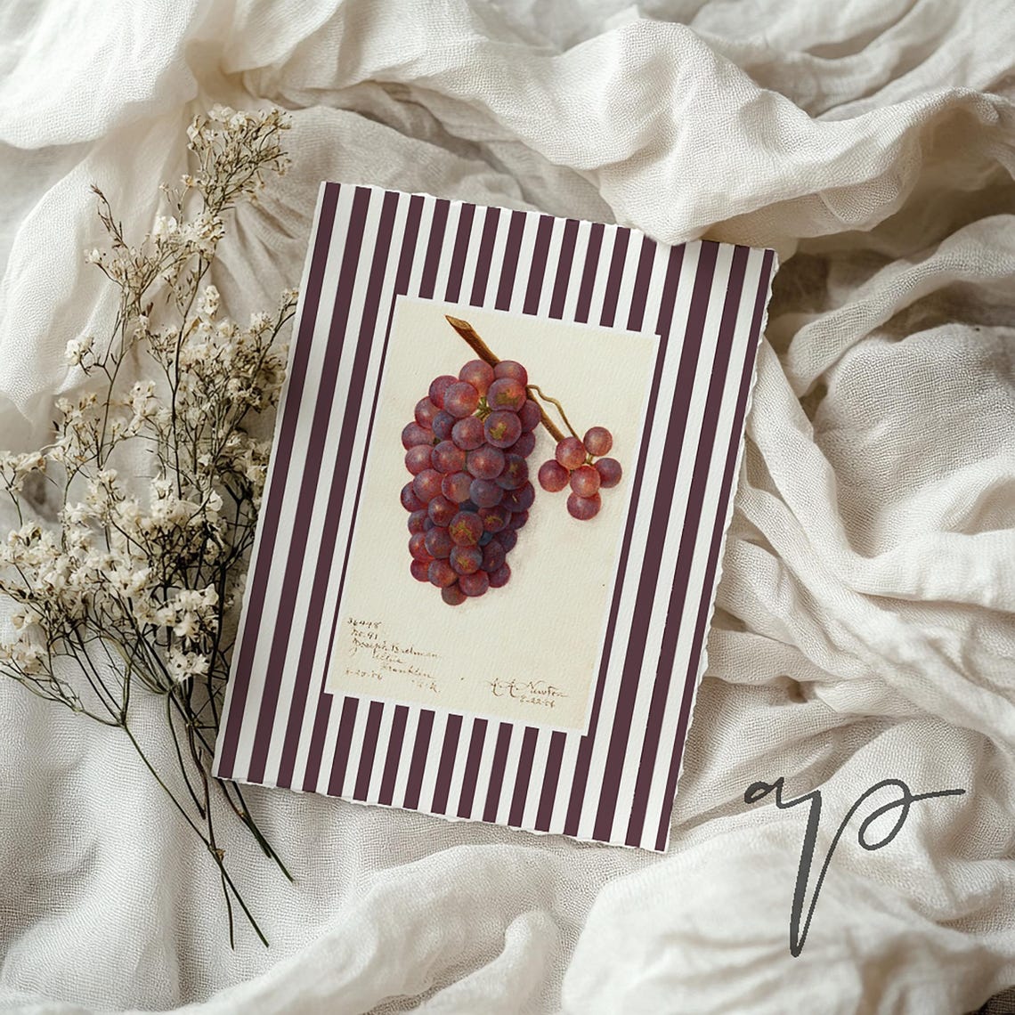 Red Grapes Vintage Botanical Fruit Striped Border Kitchen Art Poster - Image 2