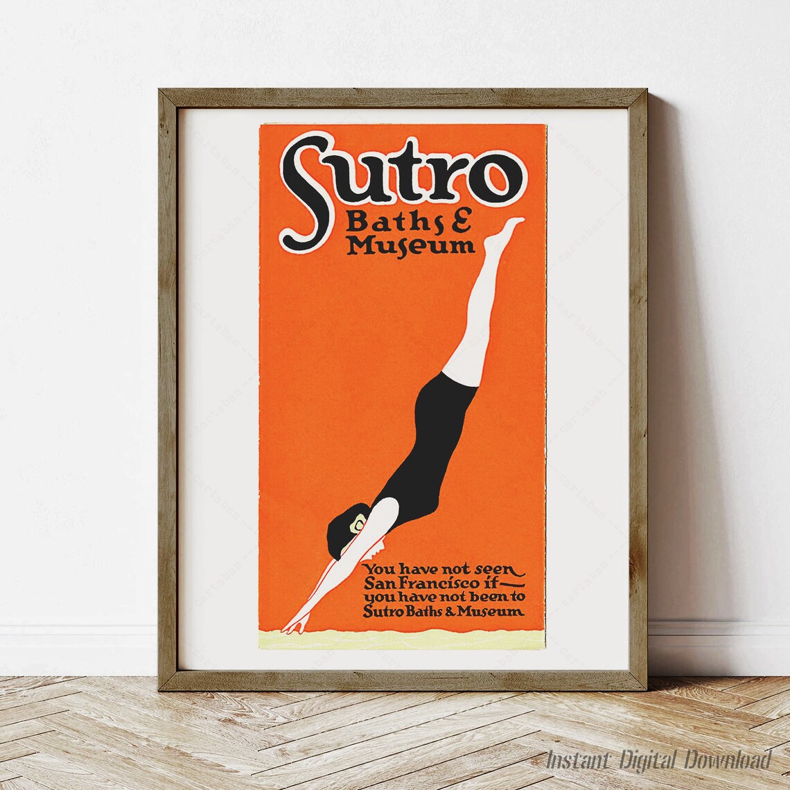 Sutro Baths, San Francisco Local Travel Poster Print