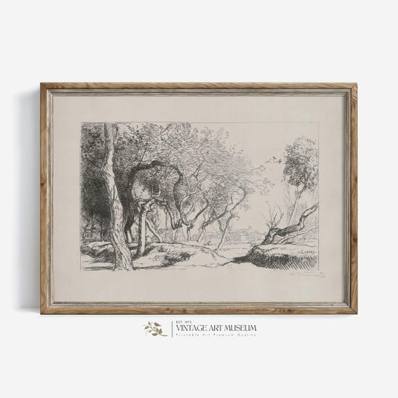 Twisted Tree Vintage Sketch Art Print, Farmhouse Decor