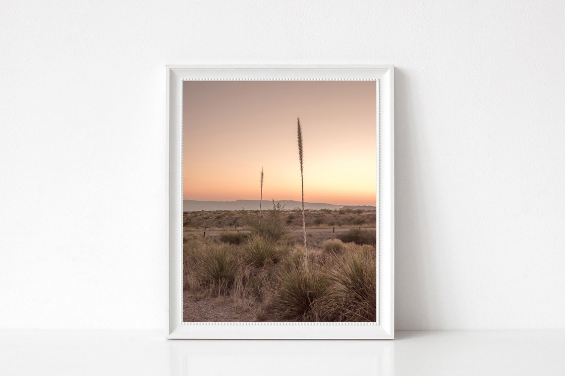 Desert Yucca Plants Silhouetted at Sunset Pink Sky Photography Poster - Image 3