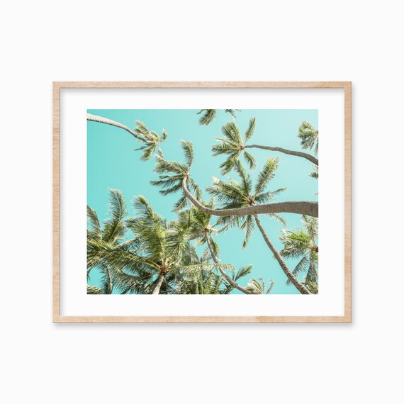Palm Tree Beach Coastal Tropical Wall Art Decor Large Palm Tree Poster Beach Photography Botanical Art Palms