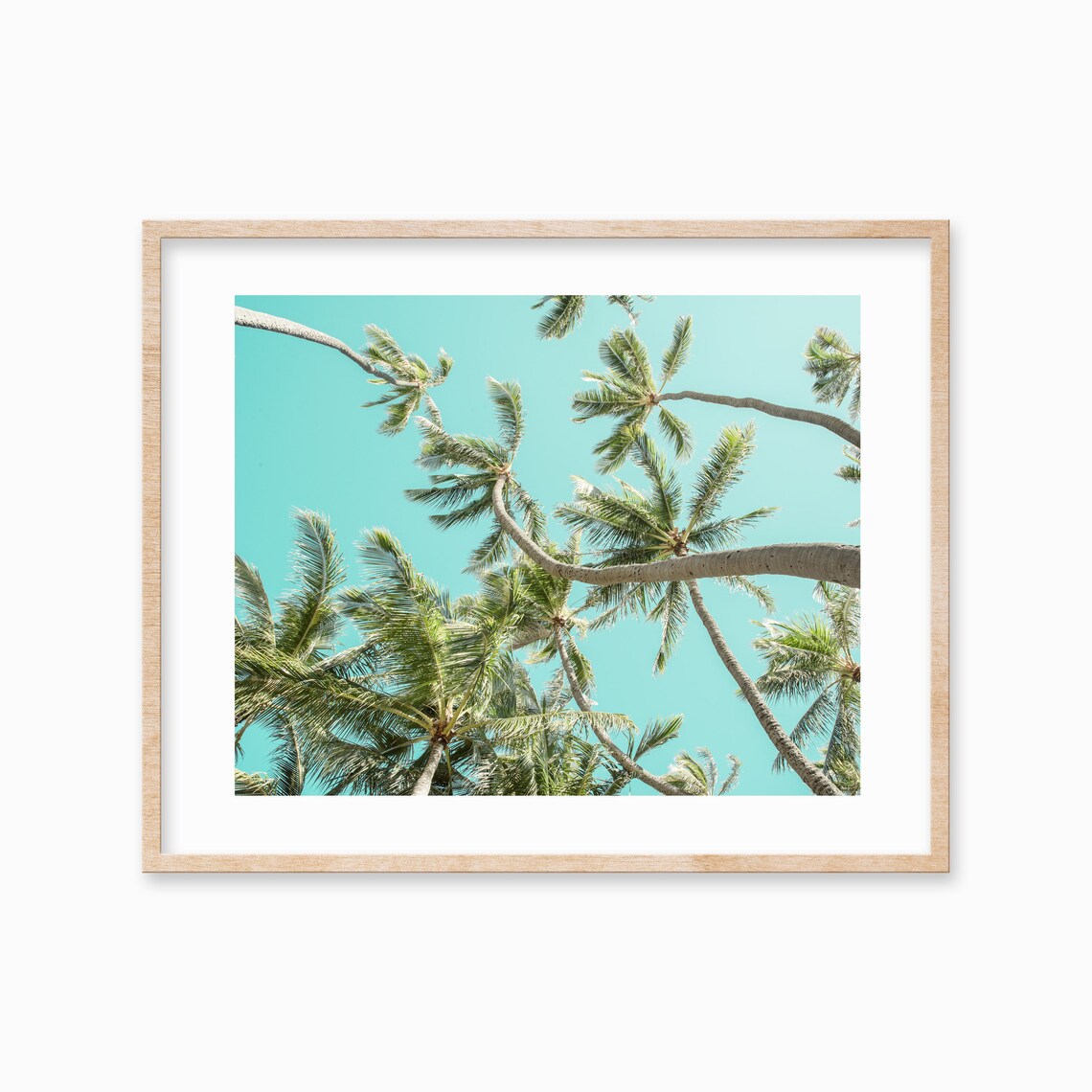 Palm Tree Beach Coastal Tropical Wall Art Decor Large Palm Tree Poster Beach Photography Botanical Art Palms