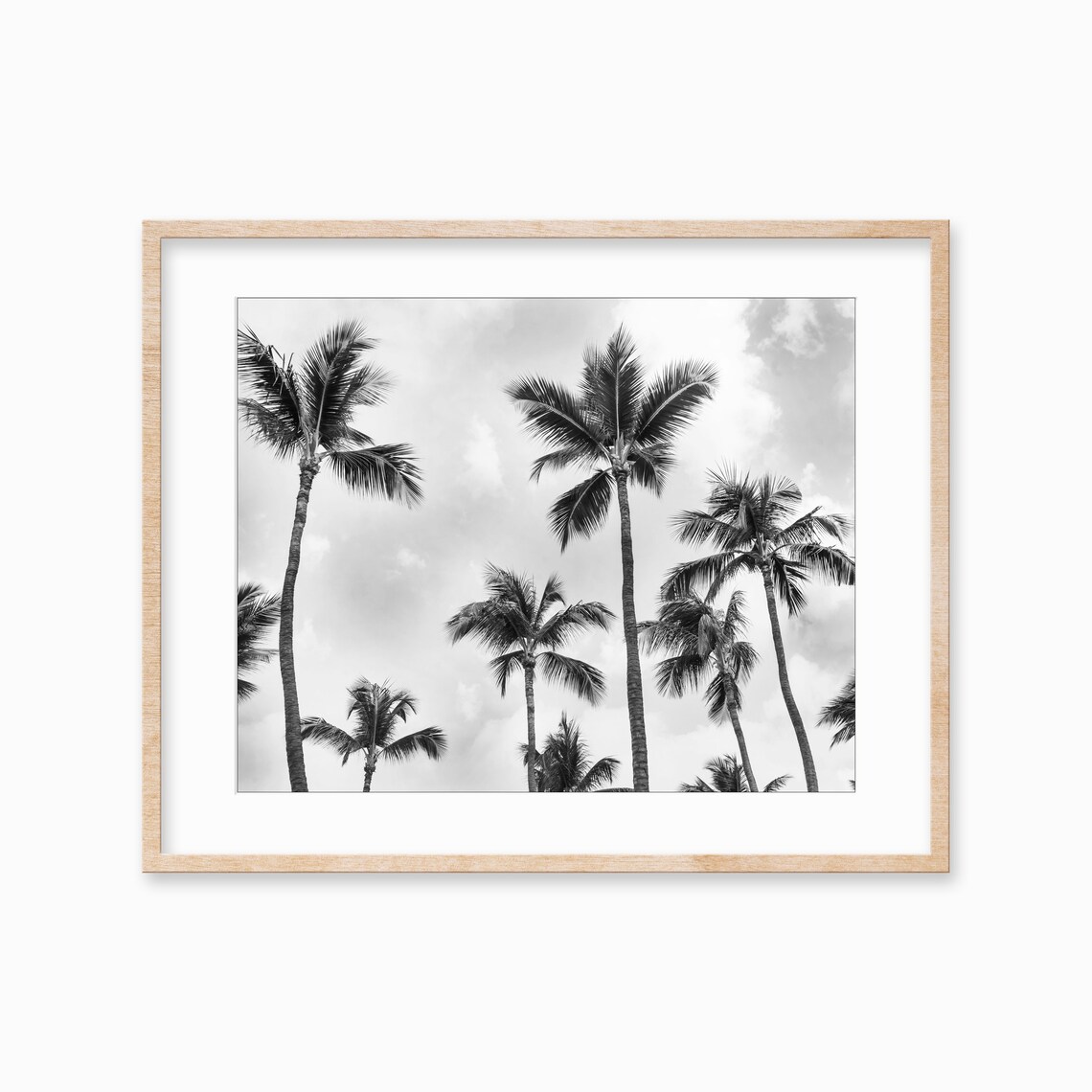 Black White Palm Tree Art Print, Aruba Decor