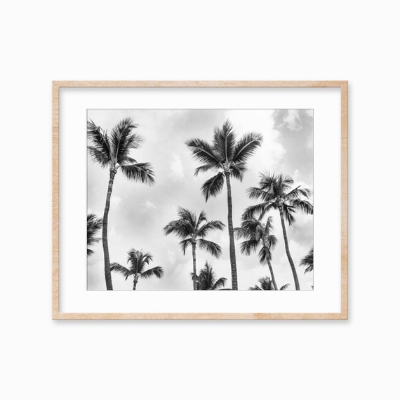 Black White Palm Tree Art Print, Aruba Decor