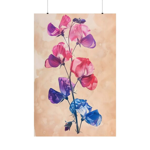 Sweet Pea Botanical Poster 4 Old Book Illustration Coquette Room Decor Summer Flower Composition Cute Girly Vibe Garden Art Plant Artwork