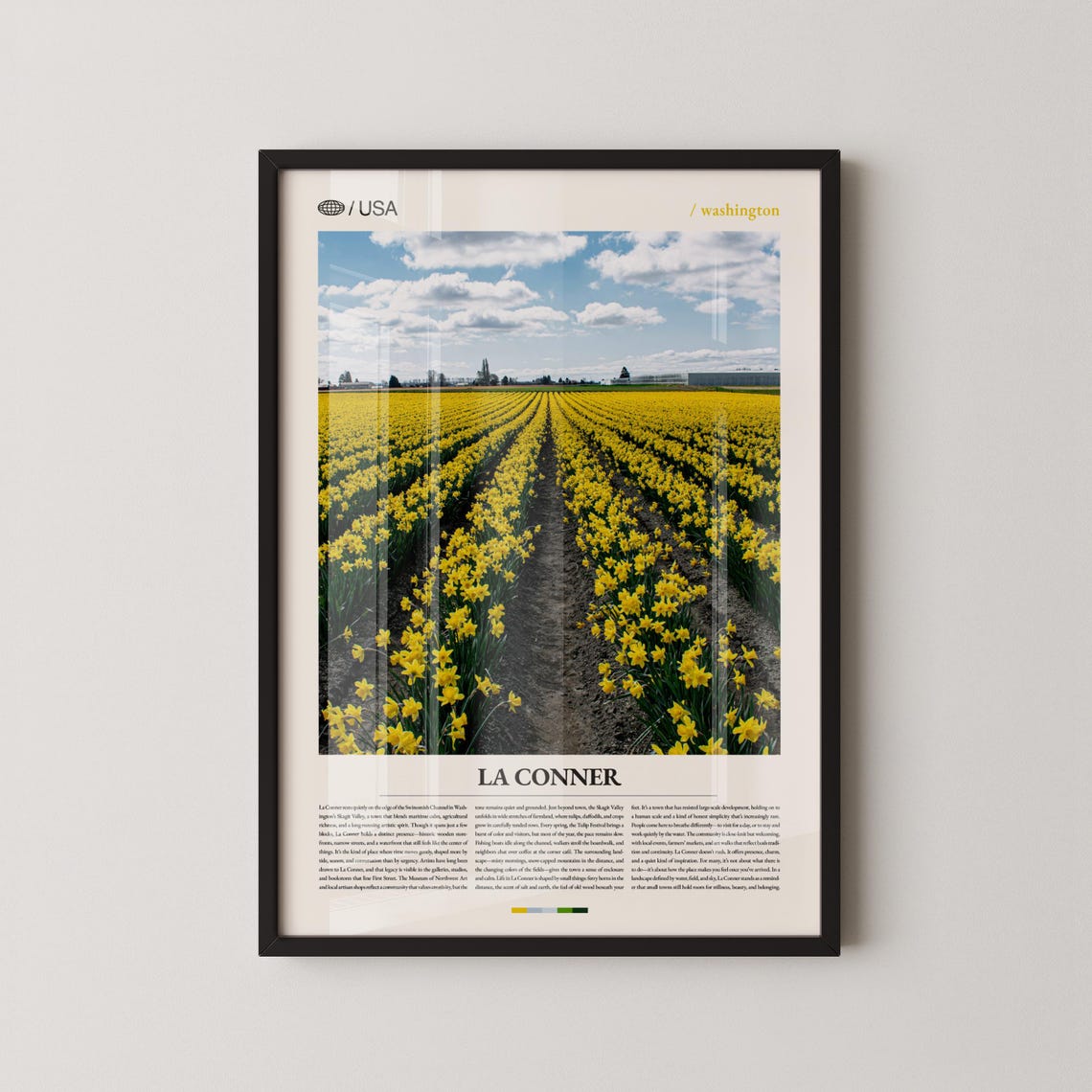 La Conner Washington Yellow Daffodil Field Spring Bloom Poster