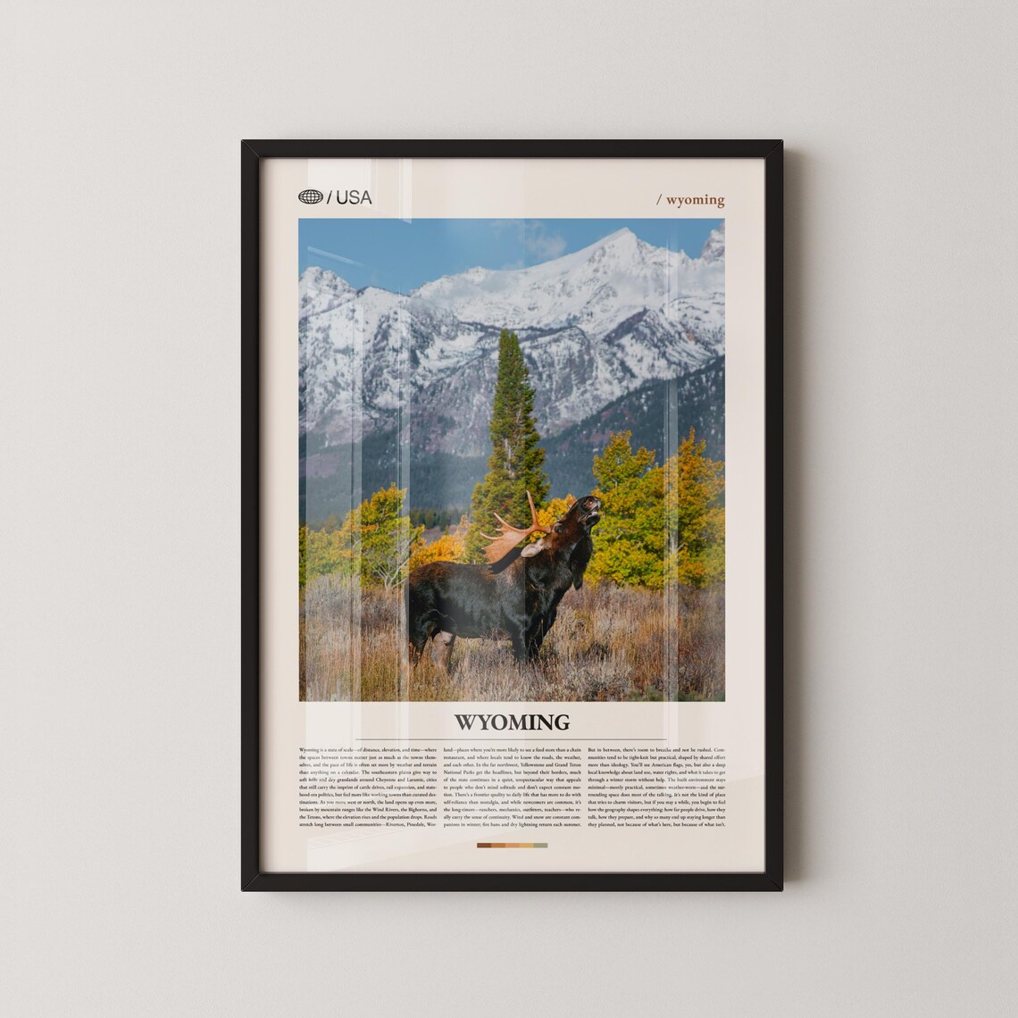 Wyoming Moose In Snowy Mountain Meadow Autumn Wildlife Poster
