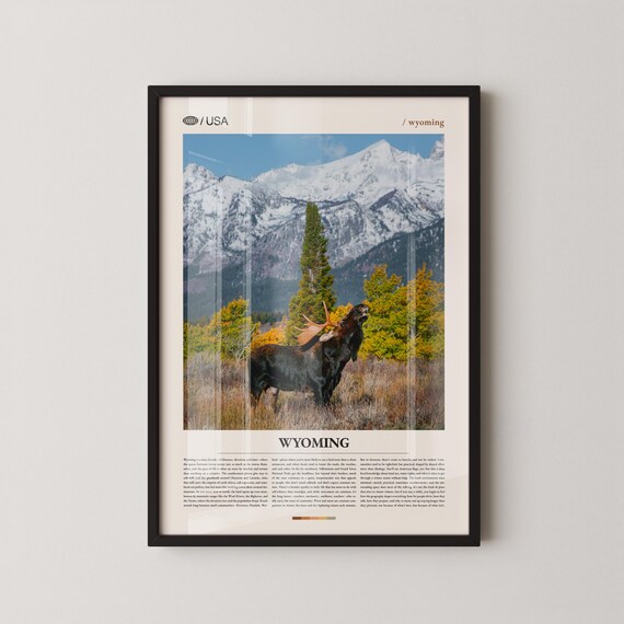 Wyoming Moose In Snowy Mountain Meadow Autumn Wildlife Poster