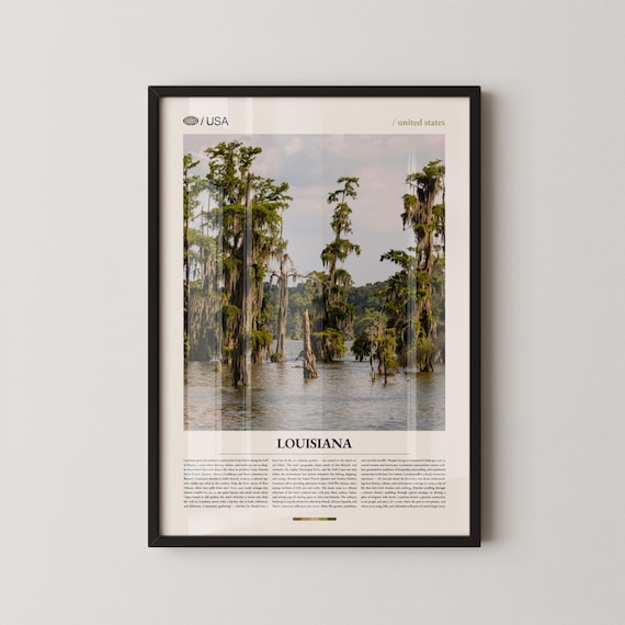 Louisiana Bayou Cypress Trees Spanish Moss Southern Wetlands Poster