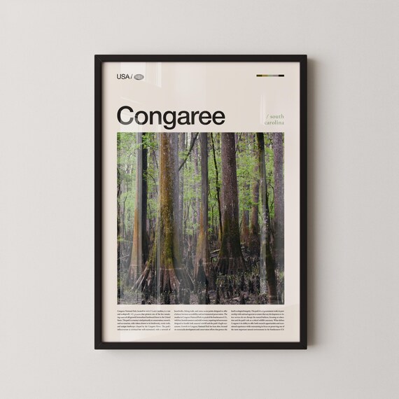 Congaree South Carolina Ancient Cypress Forest Wilderness Travel Poster