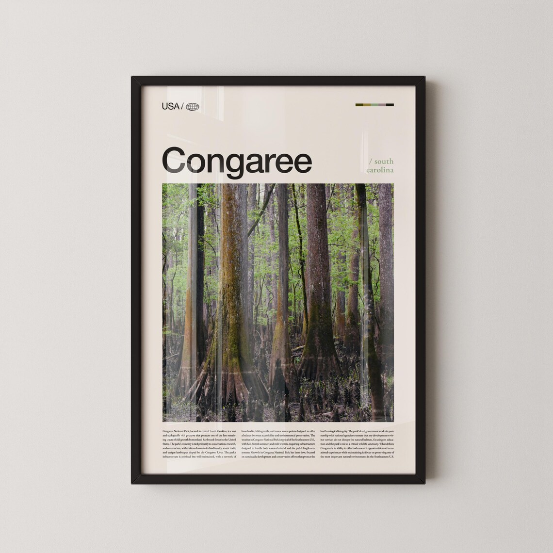 Congaree South Carolina Ancient Cypress Forest Wilderness Travel Poster