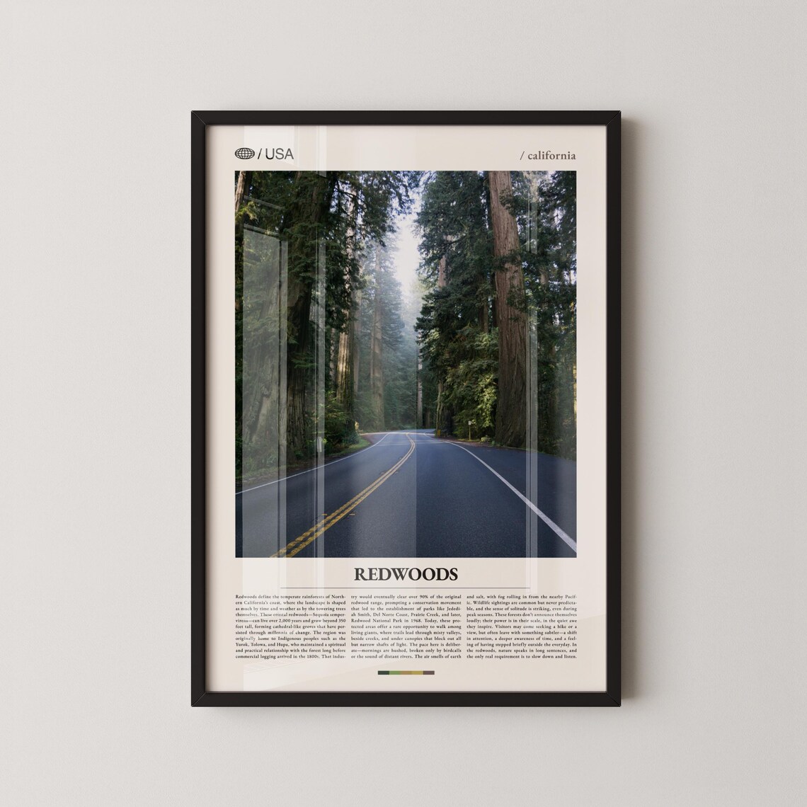 Redwoods California Misty Forest Road Drive Travel Photo Poster