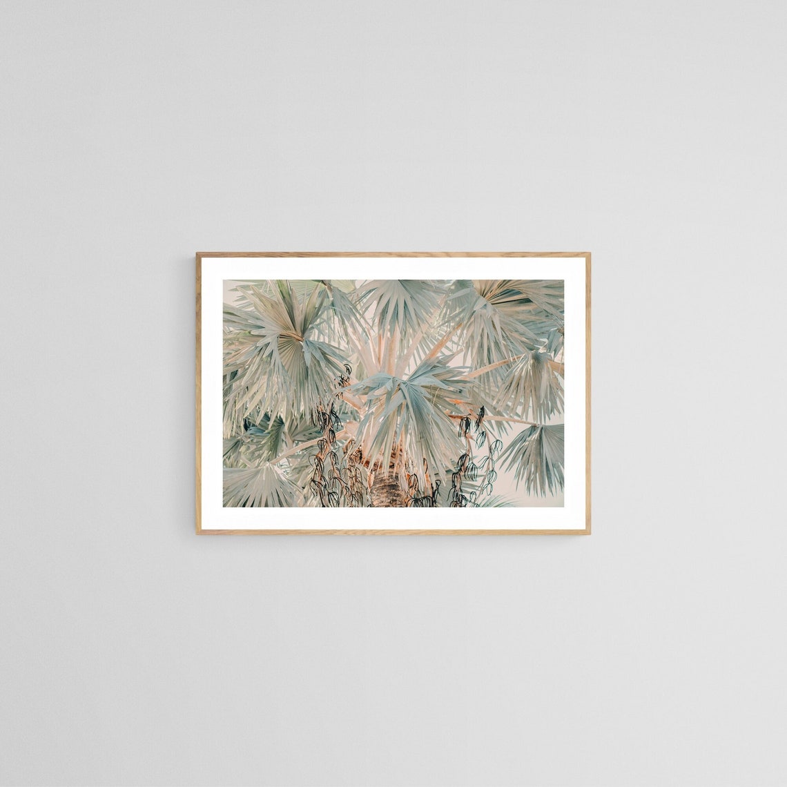 Palm Tree Photograph, Bismarck Morning Tropical