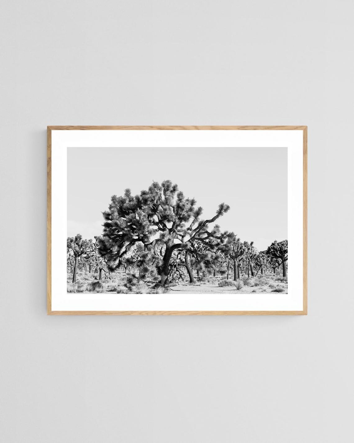 Joshua Tree Photograph, Southwestern Landscape