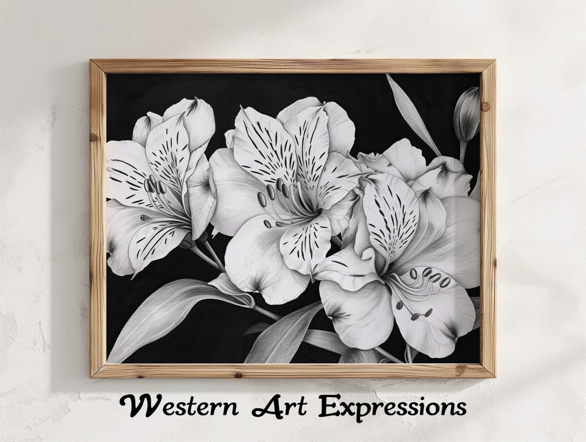 White Alstroemeria Lilies Black and White Ink Drawing Botanical Poster