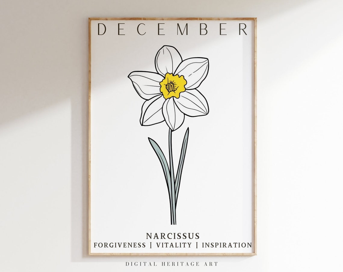 December Birth Flower Narcissus Print Birth Month Floral Wall Art