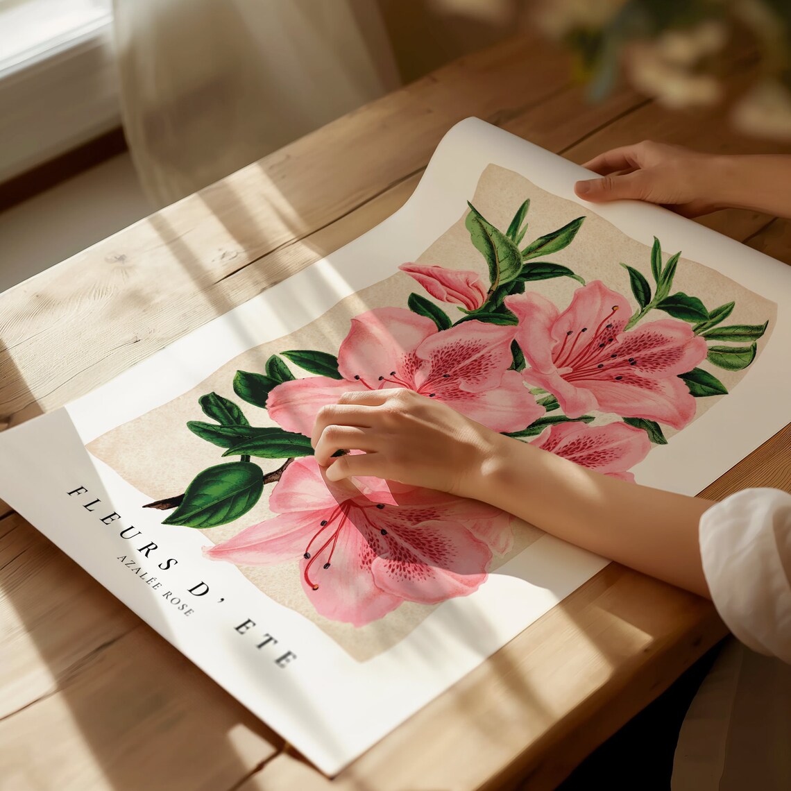 Pink Azalea Rose Botanical Illustration French Floral Art Poster - Image 2