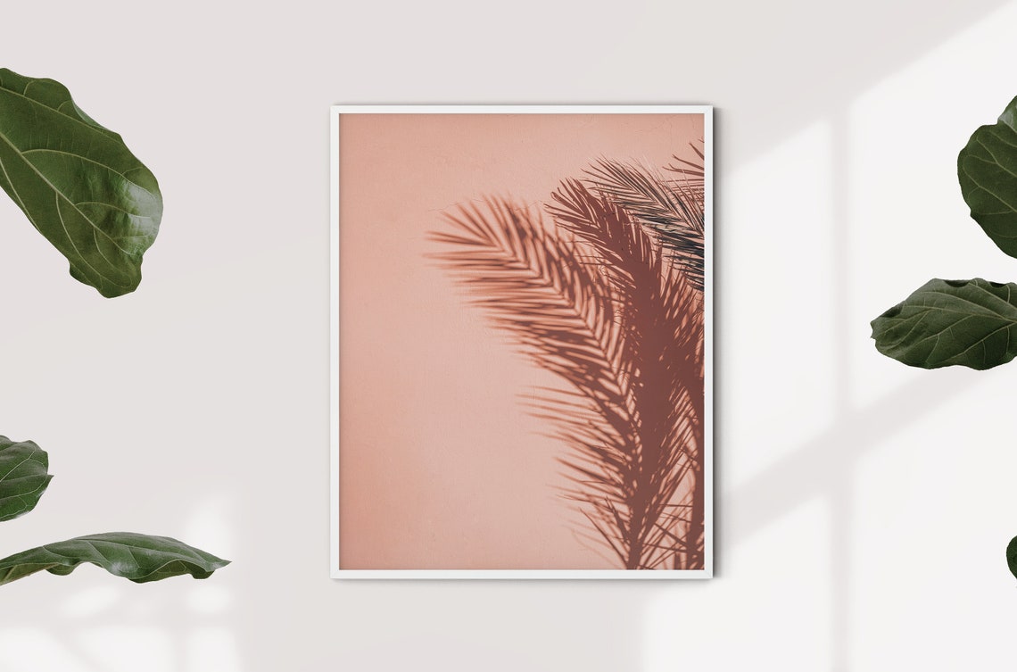 Pink Wall Palm Tree Shadow Tropical Minimalist Photography Art Poster