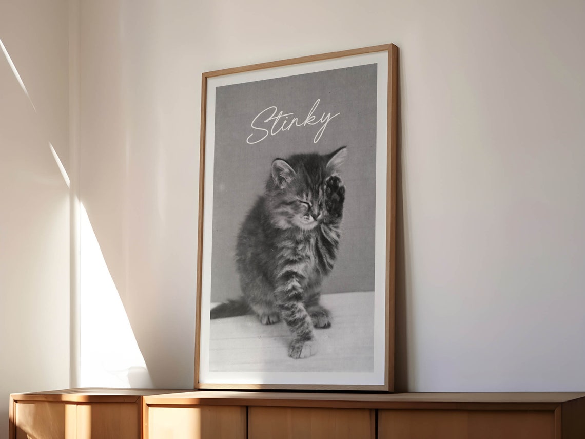 Stinky Funny Kitten Bathroom Washing Paw Vintage Photo Poster - Image 3