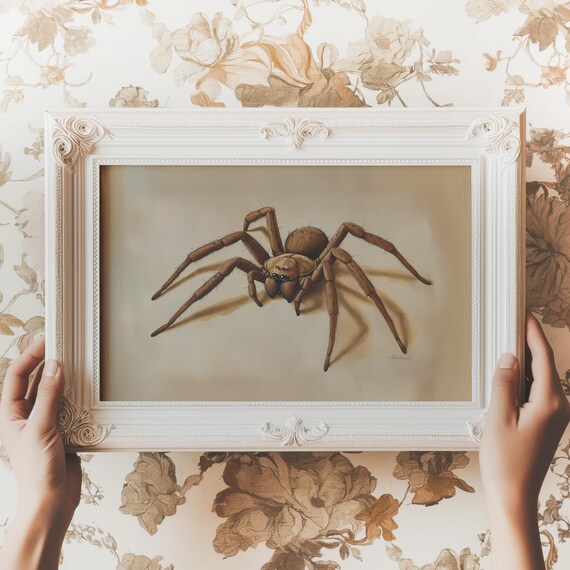 Antique Spider Print Dark Academia Wall Art Halloween Decor Moody Gothic Sketch Dark Cottagecore Wall Art