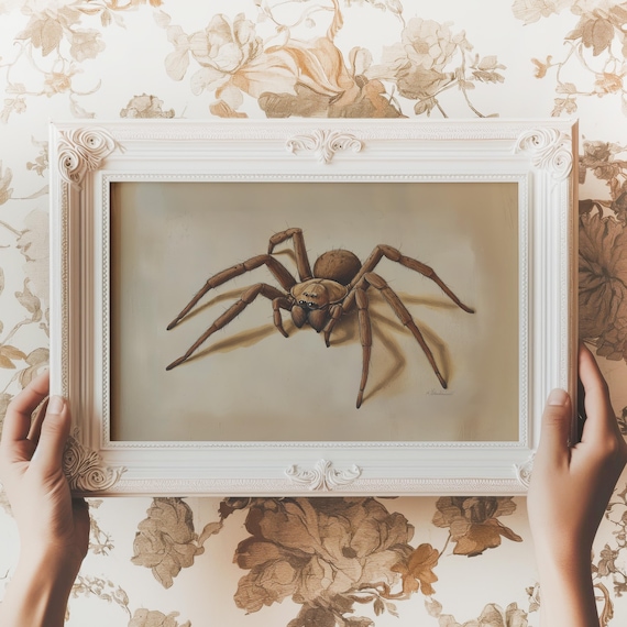 Realistic Brown Spider Naturalist Illustration Vintage Insect Art Poster