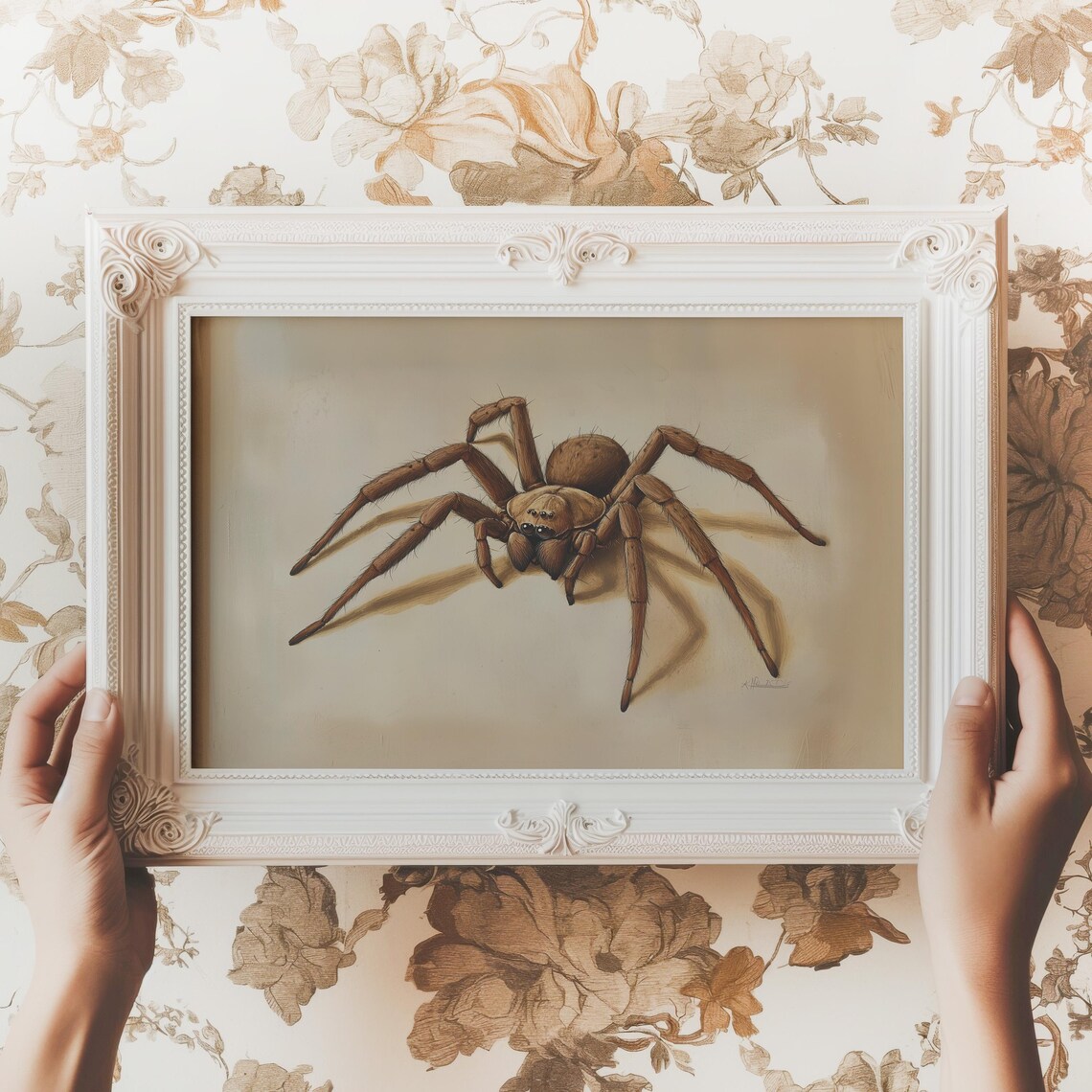 Realistic Brown Spider Naturalist Illustration Vintage Insect Art Poster