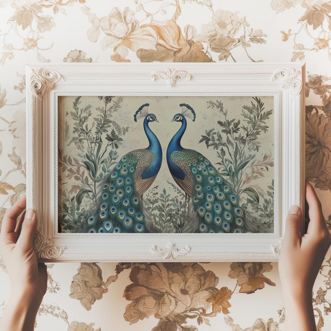 Two Peacocks Facing Vintage Botanical Bird Illustration Wall Art