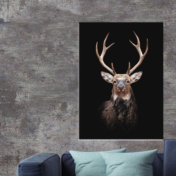 Stag Deer Portrait Emerging On Black Background Wildlife Poster