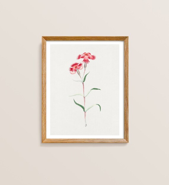 Japanese Flower Botanical Art Print, Japandi Style