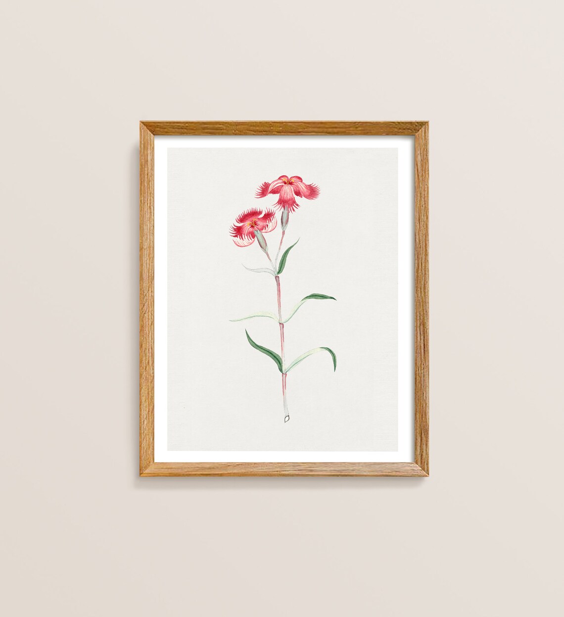 Japanese Flower Botanical Art Print, Japandi Style