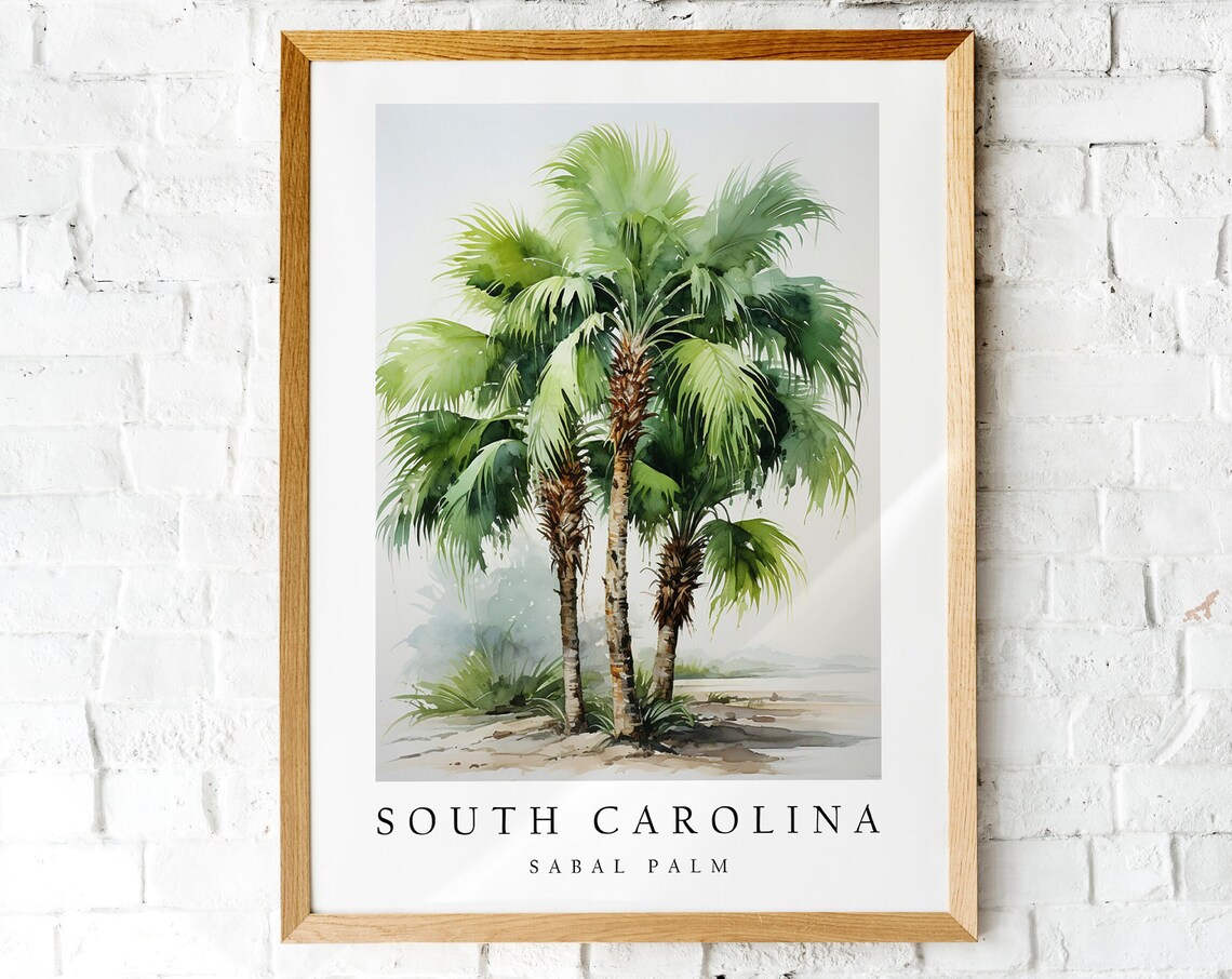Sabal Palm, South Carolina State Tree Art Print