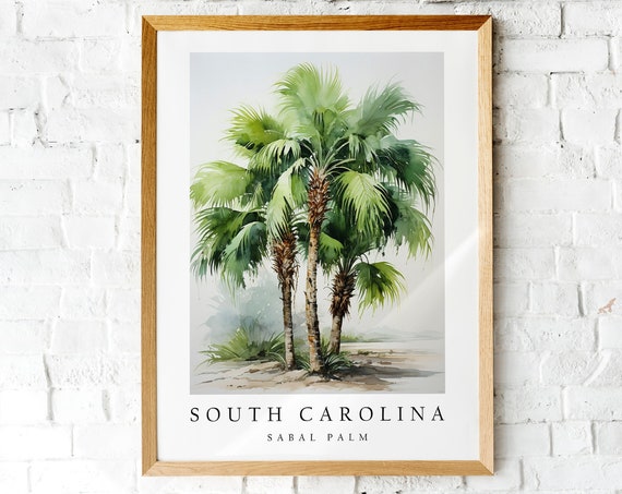 Sabal Palm, South Carolina State Tree Art Print