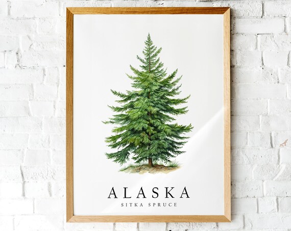 Scenic Alaska Sitka Spruce Evergreen State Tree Watercolor Poster