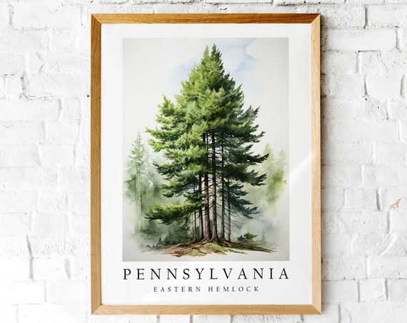 Eastern Hemlock, Pennsylvania State Tree Art Print