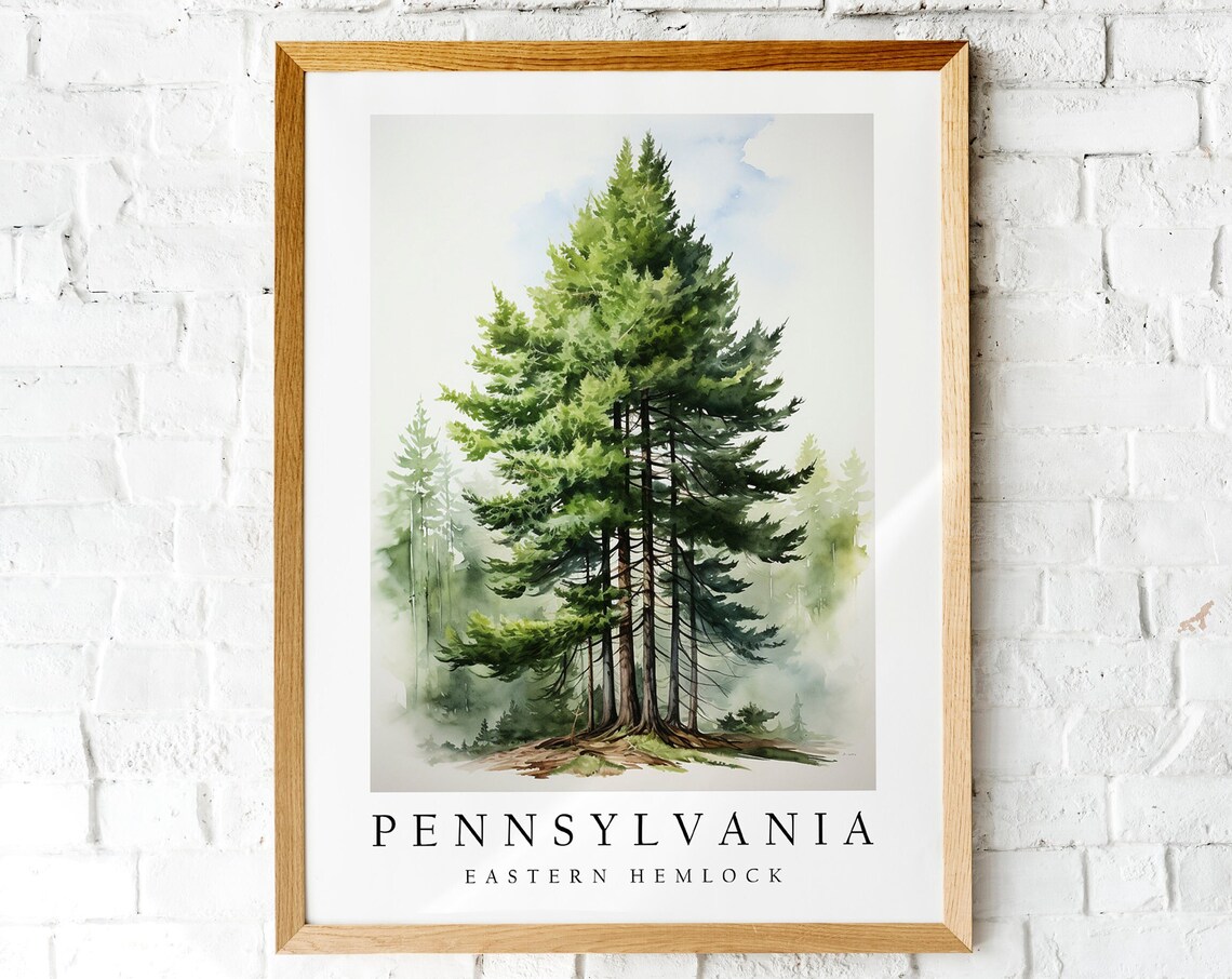 Eastern Hemlock, Pennsylvania State Tree Art Print