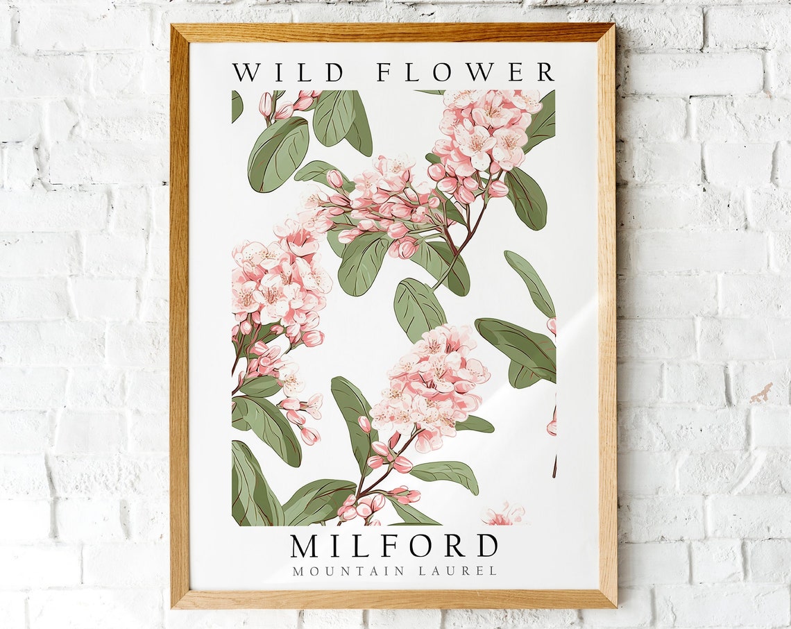Milford Mountain Laurel Pink Wild Flower Botanical Illustration Poster