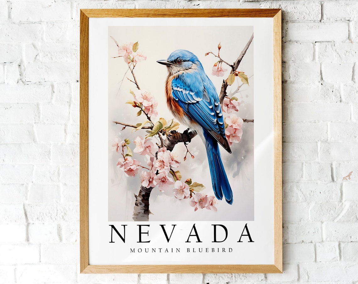 Nevada Mountain Bluebird Cherry Blossom Branch Bird Art Poster